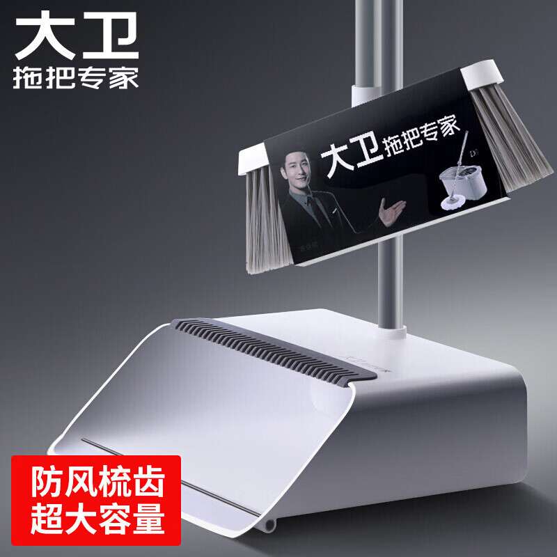 大卫  扫把簸箕套装组合两件套不粘头发软毛梳齿  F2