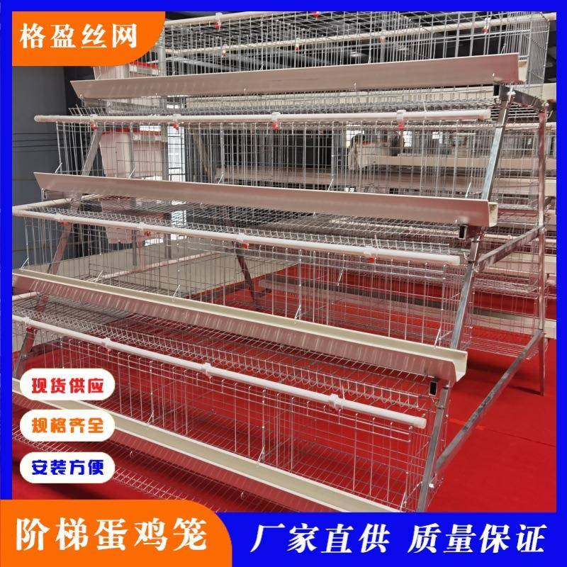 阶梯蛋鸡笼四层阶梯笼生产结实耐用省空间