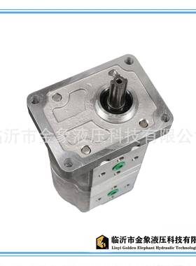 液压双联齿轮泵-CBNL-F304/306/308/310/312/314/316/320/325单花