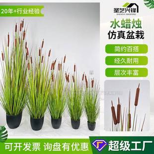 东方香蒲草仿真花仿真植物假绿植造景院子花园装饰仿真水蜡烛