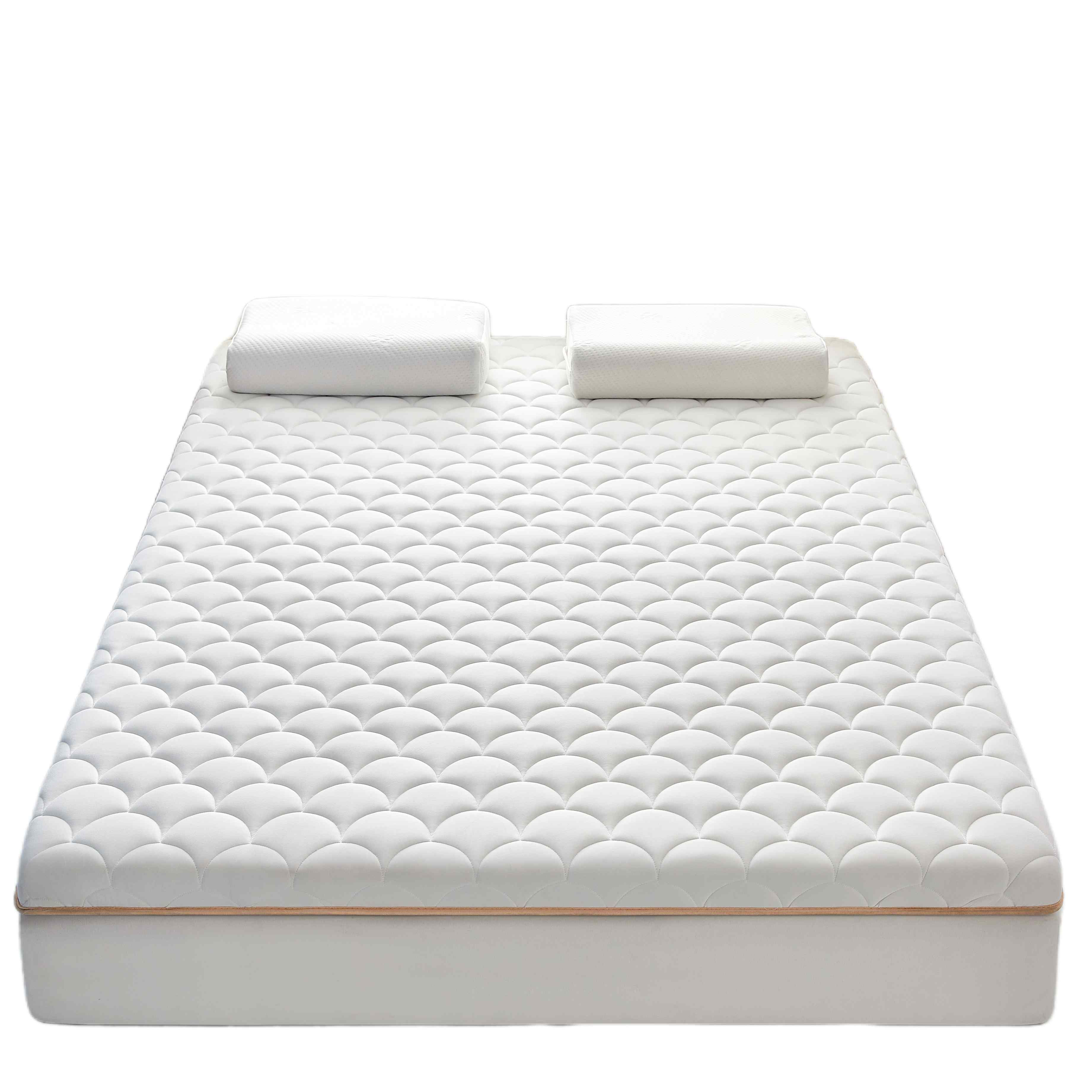 乳胶床垫软垫家用卧室榻榻米垫被褥子铺底学生宿舍单人租房厚