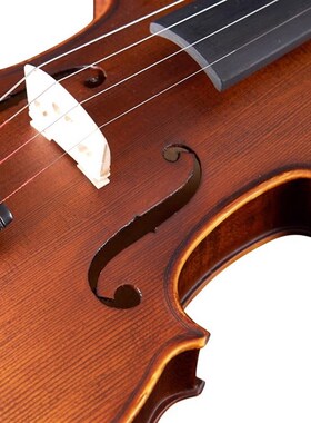 凤灵(FineLegend)全实木手工中提琴VA201-16英寸
