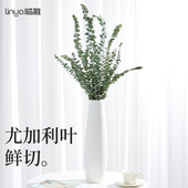 尤加利叶鲜切花卉绿植鲜花水培插花干燥树枝百搭花材室内植物客厅
