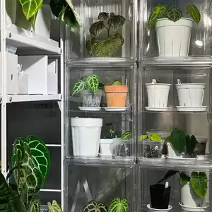 [植物闷养箱热g带植物保温箱家庭小温室暖棚阳台花房育苗箱保湿防]