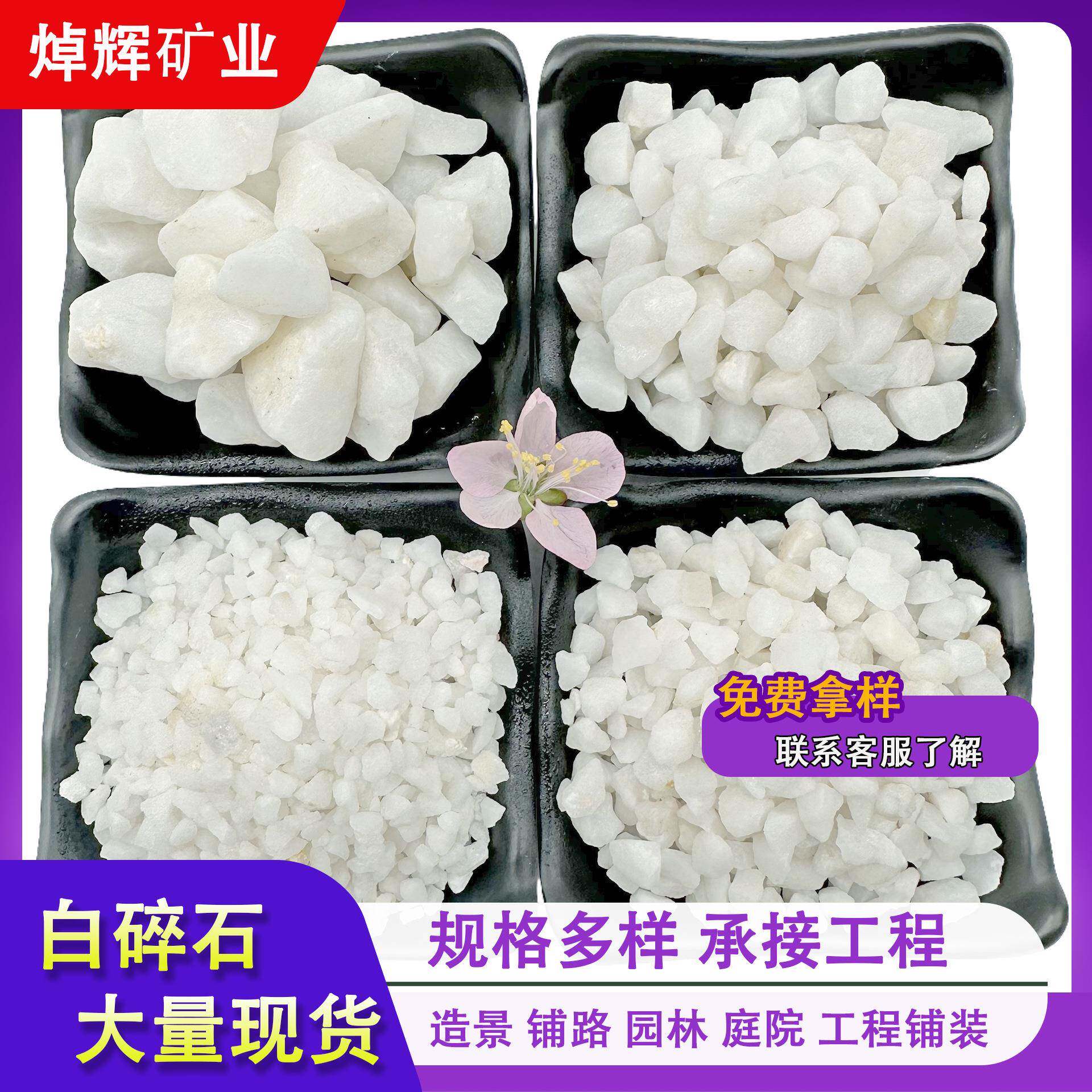 供应白石子白碎石园林景观造景石小白石子微景观枯山水装饰