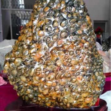 泰山金钱石摆件石来运转吉祥如意金钱豹摆件