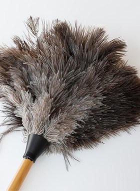 特jiaa 捡漏 鸵鸟毛除尘掸子 家用扫灰神器小号