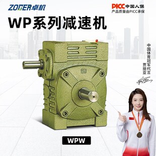 100 135涡轮蜗轮蜗杆减速机器齿轮变速箱 120 WPW40