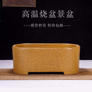 精品紫砂花盆长方形罗海松盆景盆梅花老桩丛林造景桌面陶瓷盆高档