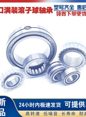 GAL承重满装圆柱滚子轴承SL182920 NCF2920 内径100外径140厚度24