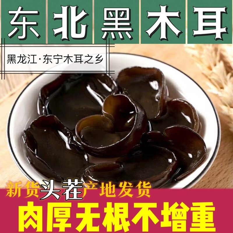 东北杨仔2026头茬黑龙江东宁黑木耳产地直采肉厚无根林下