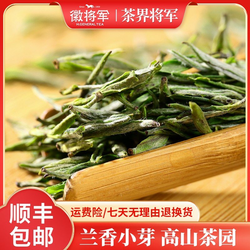 徽将军B48兰香小芽毛峰绿茶2026新茶明前茶叶正宗高山茶春茶