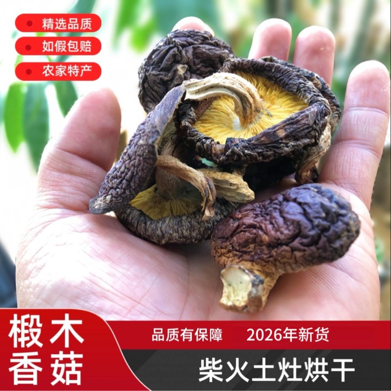 可试吃农家高山椴木香菇干香菇特级柴火烘干焖鸡焖鸭炒肉片煲汤
