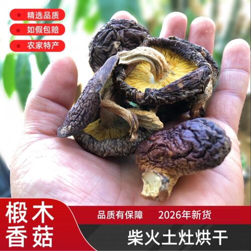 可试吃农家高山椴木香菇干香菇特级柴火烘干焖鸡焖鸭炒肉片煲汤