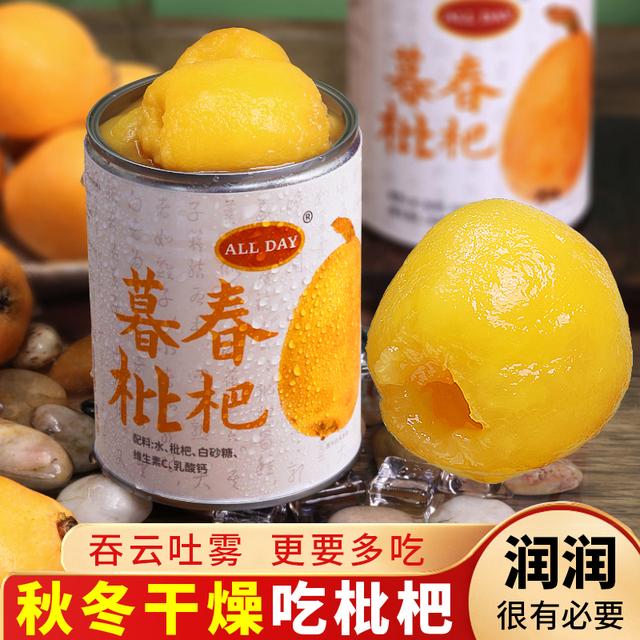 2026现摘现做暮春枇杷罐头540g*4罐无防腐水果罐头纯大果