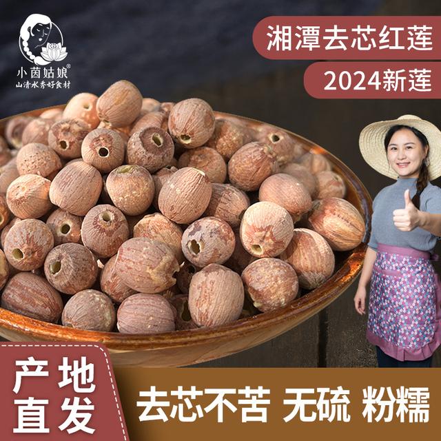 小茵姑娘湘潭一级去芯红莲子500g正宗莲子新货莲子带皮营养银耳