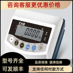 议价CAS凯士  BI防水仪表/称重显示控制器