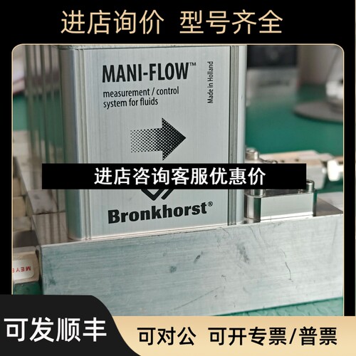 RUR-025MBronkhorst流量计MANI-FLOW流量控制器议价