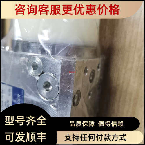 议价HOERBIGER HB11555-002B 115Bar 油泵