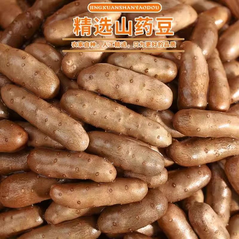 当季铁棍山药豆农家自种冰糖葫芦食材煲汤粉糯粗粮早餐新鲜采摘