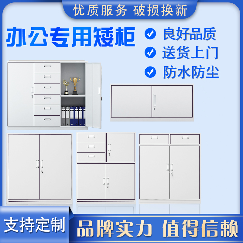 江苏省连云港市文件柜铁皮柜矮柜带锁多抽资料柜档案柜更衣储物柜