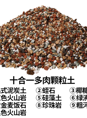 多肉颗粒土专用营养土进口泥炭种植土小苗叶插铺面石家用透气泥土