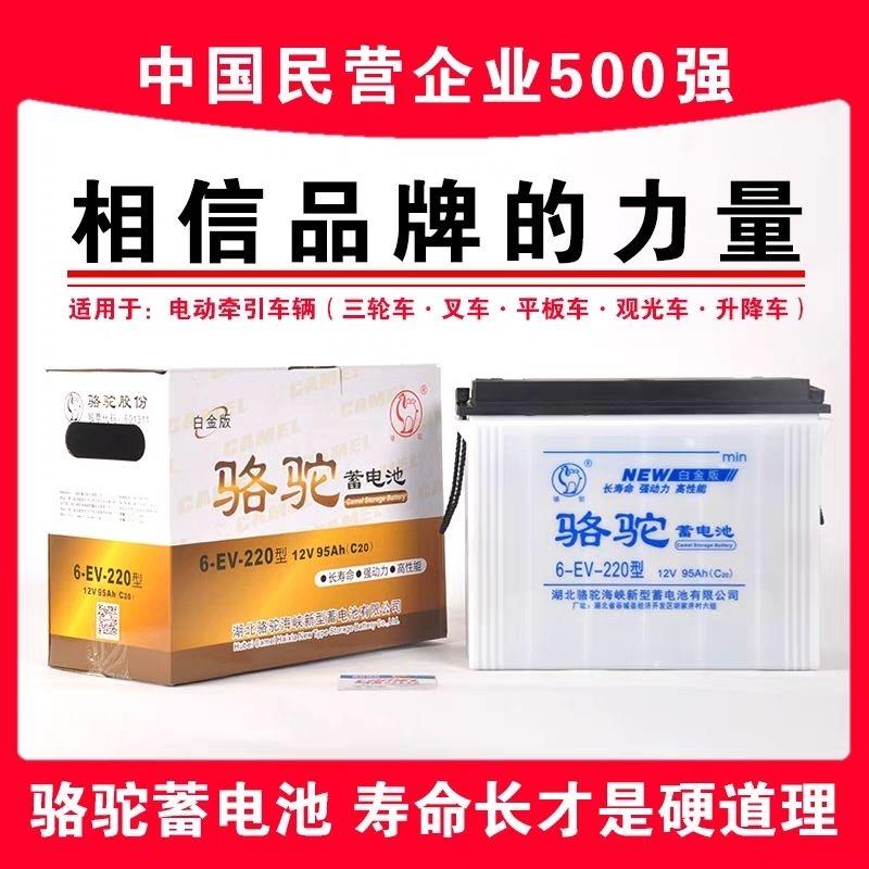 骆驼蓄电池电动三轮车水电池6-D-150/180/120B环卫车叉车洗地牵引