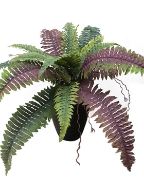 仿真植物波斯草家居装饰落地盆景紫色吊钟叶人造花草波草