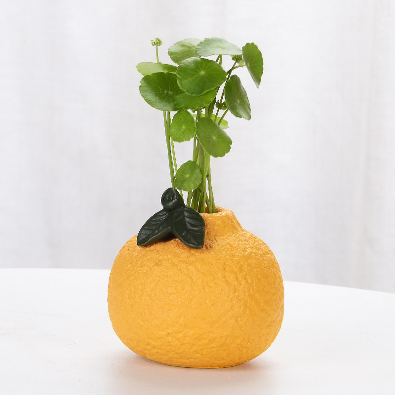 创意陶瓷桔子花瓶水培植物绿萝铜钱草器皿新房客厅桌面装饰摆件,标准件/零部件/工业耗材,输送带/传送带,淘宝优惠券,粉丝福利购,淘宝优惠卷