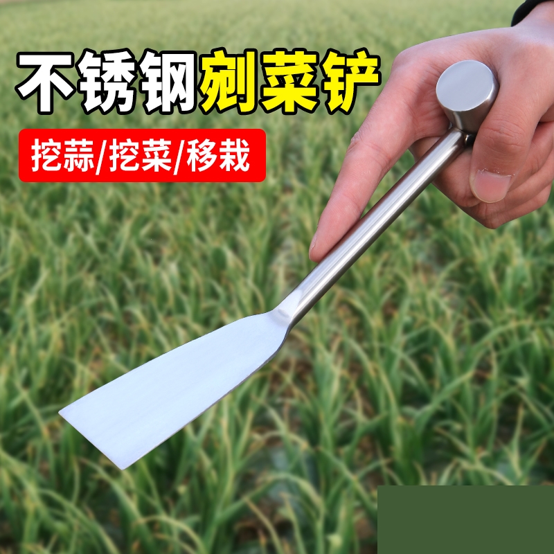 挖野菜的小铲子挖蒜神器挖荠菜专用园艺工具不锈钢铁铲种花野菜铲