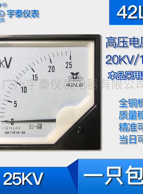 42L6 25KV 40KV高压电压表20kv/100V交流电压表35kv/100V电压互感