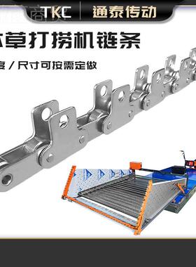 RFY条不锈钢分直链传动链条分单侧板双侧