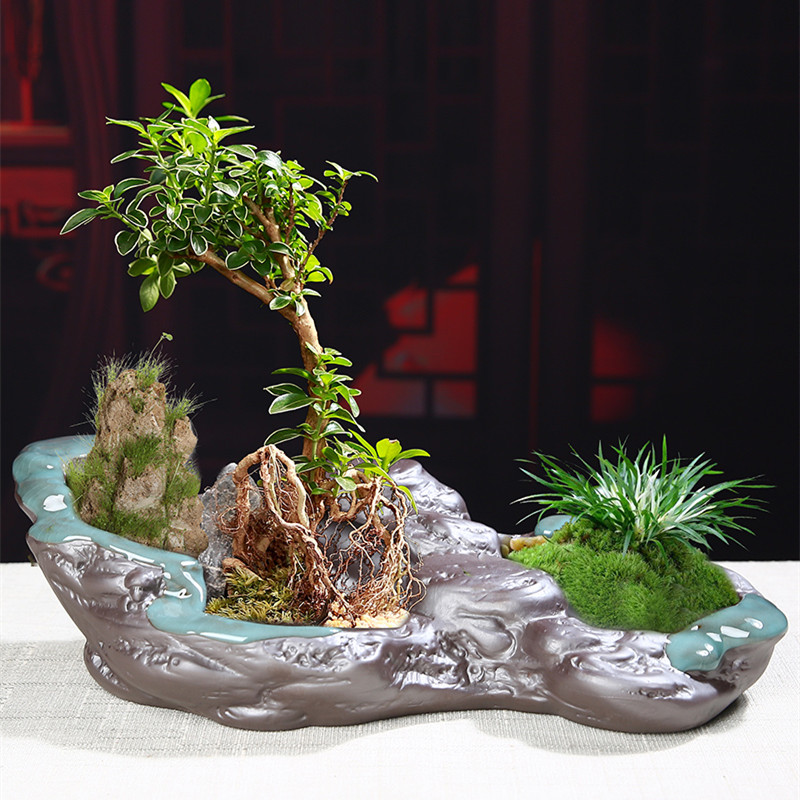 中国风花盆哥窑创意室内桌面绿植盆栽多肉菖蒲文竹盆景盆大号家用