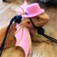 爬宠外出皮翅膀牵引带 蜥蜴 粉色套装 牵引绳 遛蜥蜴绳 礼帽