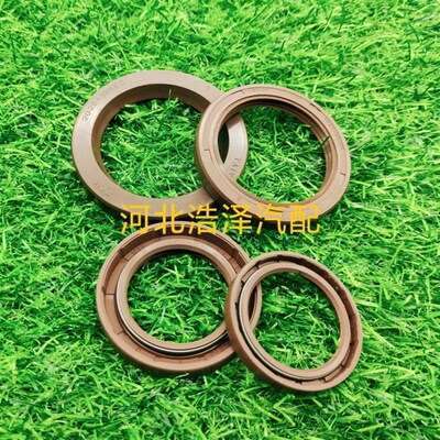 奥盖尔PVG0675TCM131872密封件奥盖尔PVG10030TCM202843专用油封