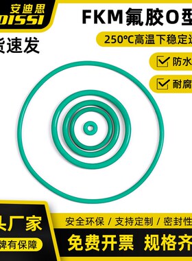 氟胶O型圈内径107.62/113.97/120.32/126.67/133.02/139.37*2.62