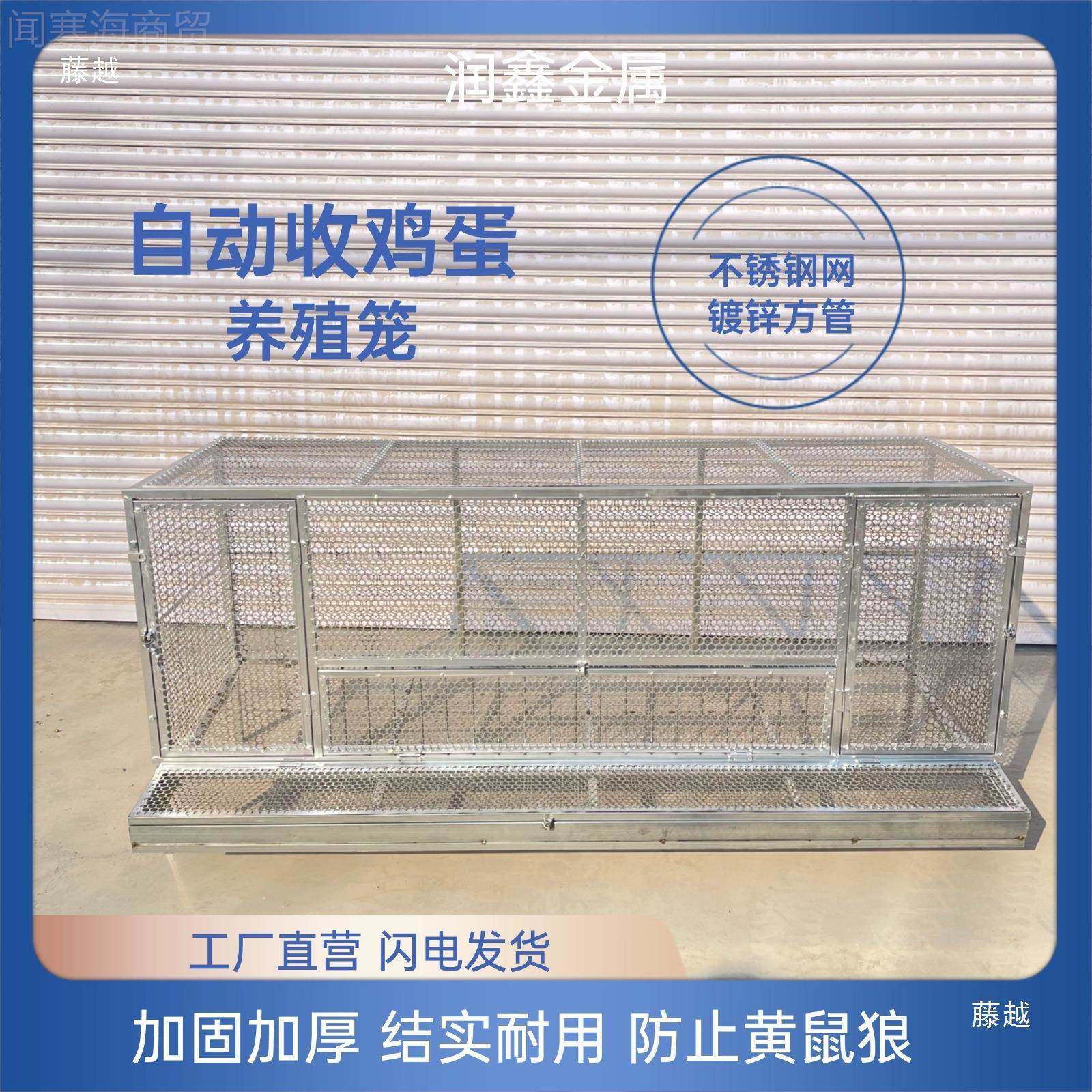 鸡笼可tlzn$*&u自支收纳鸡蛋防黄不鼠狼自动动滚落鸡蛋锈钢网片镀,童鞋/婴儿鞋/亲子鞋,量脚器,淘宝优惠券,粉丝福利购,淘宝优惠卷