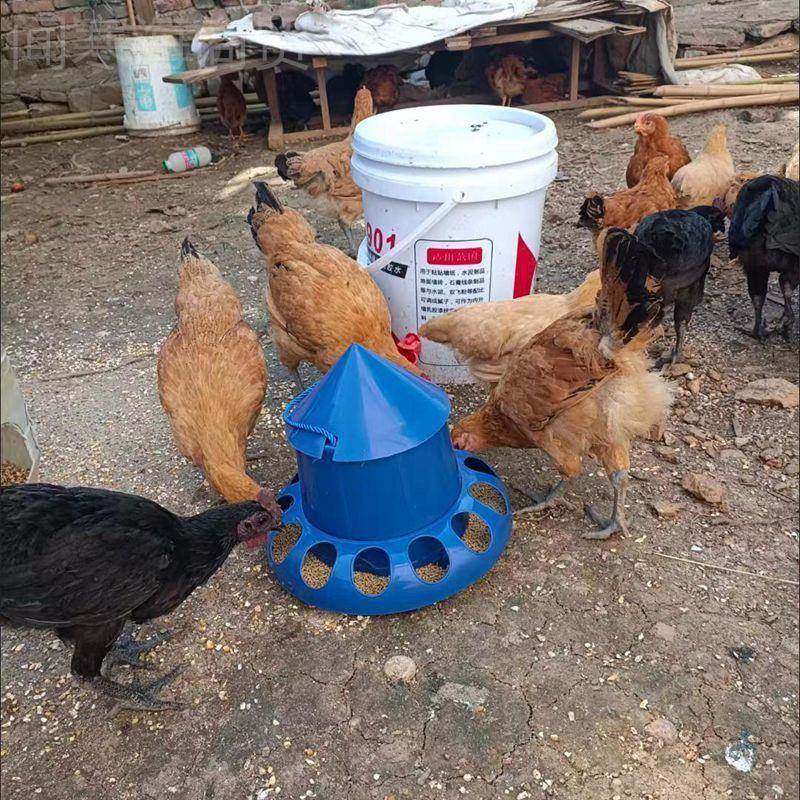 鸡食鸭自动漏食器鸡鹅下器MMZ防料撒食鸽鹌鹑料桶子吃食盒喂食器,童鞋/婴儿鞋/亲子鞋,量脚器,淘宝优惠券,粉丝福利购,淘宝优惠卷
