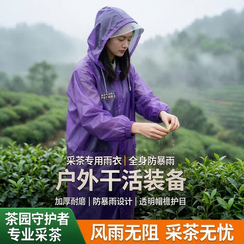 采茶专用雨衣户外干活防暴雨便携