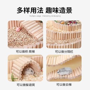 金丝熊小仓鼠放风活动围栏解压玩具摆件花枝鼠蜜袋鼯解闷造景用品