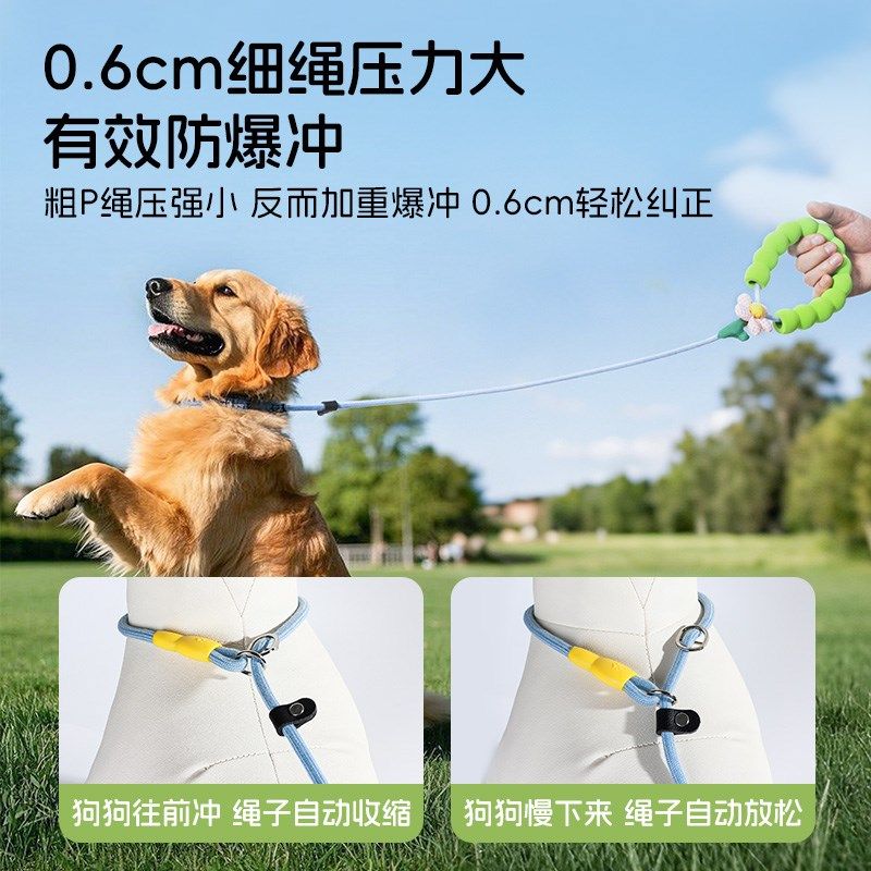 狗狗牵引绳p绳p链小型大型中型犬狗链牵狗遛狗训犬宠物防爆冲狗绳,宠物/宠物食品及用品,狗牵引绳,淘宝优惠券,粉丝福利购,淘宝优惠卷