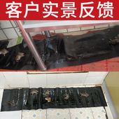 粘鼠魔毯粘鼠板隐形灭鼠捕鼠器长款 仓库居家捕鼠一除害 大规格新品