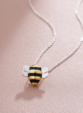 项链女锁骨链2025年新款网红潮简约小众设计感可爱个性颈链