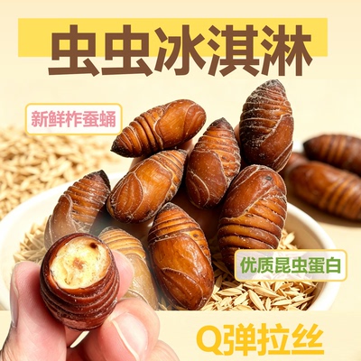 虫虫冰淇淋仓鼠零食新鲜柞蚕蛹零食花枝鼠蜜袋鼯松鼠粮食