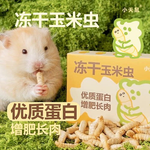 仓鼠零食冻干玉米虫金丝熊蜜袋鼯花枝鼠高蛋白增肥长肉粮