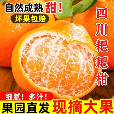 【彩箱】正宗四川耙耙柑应季新鲜水果橘子丑八怪橘子丑橘粑粑柑橘