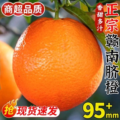 【平晏果园】赣南脐橙正宗江西赣州橙子新鲜水果现摘甜脐橙手剥橙