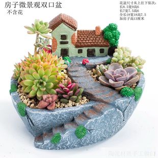 中大号口径多口高房子微景观家用延熹多肉植物花盆 悬崖桩创意个性
