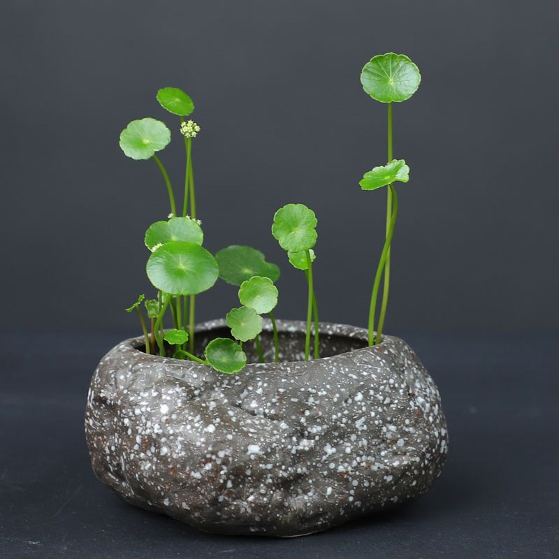 陶瓷无孔水培花盆铜钱草水养小花器桌面鱼缸造景花钵摆件岩石造型