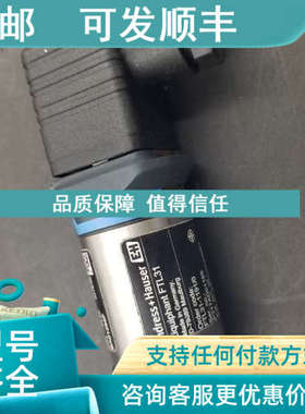 议价E+H恩德斯豪斯D-79689音叉液位计FTL31-1191/0开关